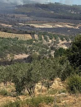 Şarköy'de Boşaltılan Evlerde Yeniden Giriş İzni Verildi