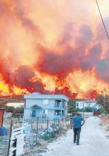 Şark&ouml;y&rsquo;de Anız Yangını Ormana Sı&ccedil;radı
