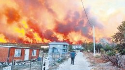 Şarköy’de Anız Yangını Ormana Sıçradı