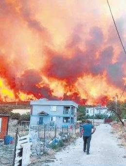 Şarköy’de Anız Yangını Ormana Sıçradı