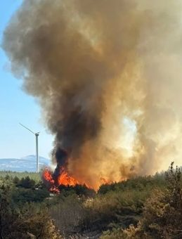 Şarköy’de Yangın Hava Kararmadan Kontrol Altına Alınmaya Çalışılıyor