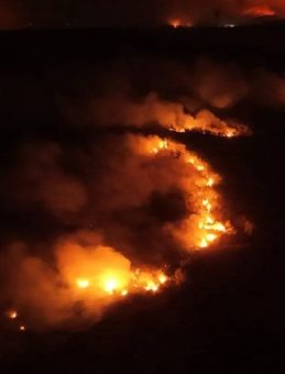 Şarköy’deki Yangına 21 Hava Aracı Müdahale Ediyor