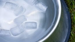 Serinlemek İsterken Sağlığınızdan Olmayın! Buz Küplerindeki Gizli Tehlike