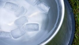 Serinlemek İsterken Sağlığınızdan Olmayın! Buz K&uuml;plerindeki Gizli Tehlike