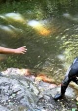 Sıcak Havada Serinlemek İsterken Şelalede Boğuldu