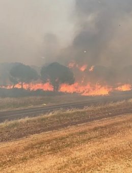 Silivri’de Yangın 7 Saatte Kontrol Altına Alındı