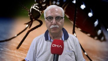Sivrisineklerden bulaşıyor! Uzman isimden 'Chikungunya' vir&uuml;s&uuml; a&ccedil;ıklaması: Yakın bir tehdit s&ouml;z konusu değil