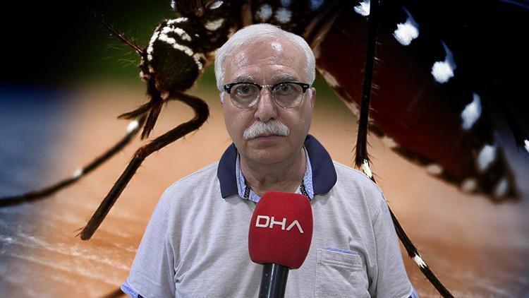 Sivrisineklerden bulaşıyor! Uzman isimden 'Chikungunya' virüsü açıklaması: Yakın bir tehdit söz konusu değil