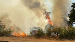 Son dakika… Çanakkale'de orman yangını: Havadan ve karadan müdahale ediliyor