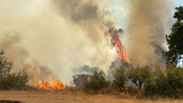 Son dakika… &Ccedil;anakkale'de orman yangını: Havadan ve karadan m&uuml;dahale ediliyor