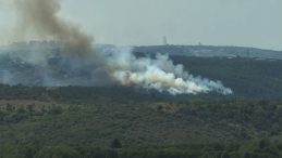 Son Dakika: İstanbul Kemerburgaz'da Orman Yangını!