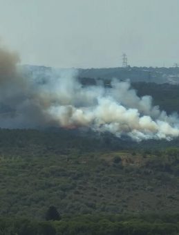 Son Dakika: İstanbul Kemerburgaz'da Orman Yangını!