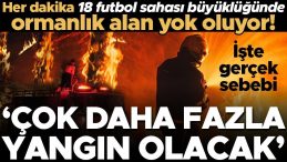 Son İki Yılda 78 Milyon Dönümden Fazla Orman Yandı, Her Dakika 18 Futbol Sahası Büyüklüğünde Ormanlık Alan Yok Oluyor!