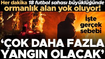 Son İki Yılda 78 Milyon D&ouml;n&uuml;mden Fazla Orman Yandı, Her Dakika 18 Futbol Sahası B&uuml;y&uuml;kl&uuml;ğ&uuml;nde Ormanlık Alan Yok Oluyor!
