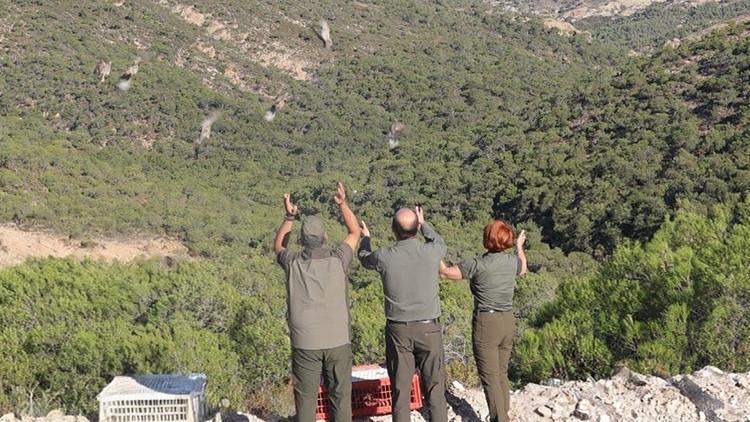 Sosyal medyada mizahi paylaşımlar ile dikkat çekmişlerdi… 1,500 tanesi daha doğal ortama bırakıldı