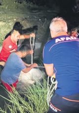 Sulama Kanalında Trajik Olay