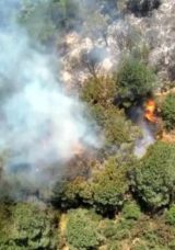 Sultangazi Kent Ormanı'nda Yangın Korkusu! Vali G&uuml;l, Vatandaşları Uyardı