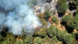 Sultangazi Kent Ormanı'nda Yangın Korkusu! Vali G&uuml;l, Vatandaşları Uyardı