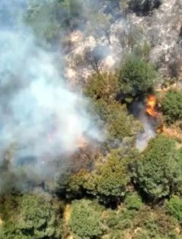 Sultangazi Kent Ormanı'nda Yangın Korkusu! Vali Gül, Vatandaşları Uyardı