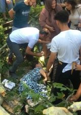 Tarihi &Ccedil;ınar Dalı D&uuml;şt&uuml;! Yaralılar Arasında Hayatını Kaybedenler Var