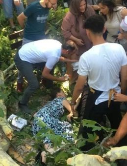 Tarihi Çınar Dalı Düştü! Yaralılar Arasında Hayatını Kaybedenler Var