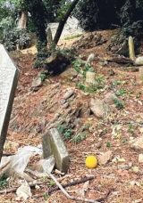 Tarihi G&uuml;zelce Hisar Mezarlığı Kaderine Terk Edildi