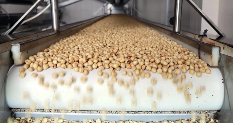 Tarım ve Gıda İhracatı 11,5 Milyar Dolara Ulaştı