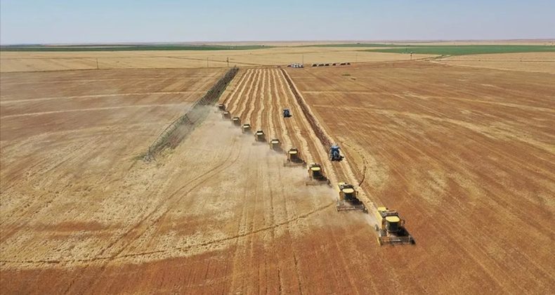 Tarımsal Amaçlı Örgütlerin Derecelendirilmesine İlişkin Esaslar Yenilendi