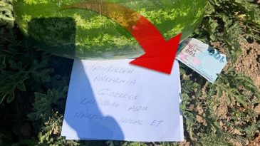 Tarlasındaki Notu G&ouml;r&uuml;nce Duygulandı: B&ouml;yle G&uuml;zel Y&uuml;rekli İnsanlar Var mı Hala?