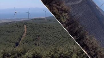 Tekirdağ Şark&ouml;y'de Orman Yangını 2 G&uuml;n Boyunca S&uuml;rd&uuml;! İşte Y&uuml;rek Burkan G&ouml;r&uuml;nt&uuml;ler