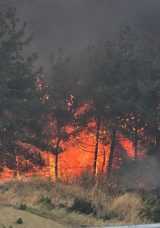 Tekirdağ Şark&ouml;y&rsquo;den Gelibolu&rsquo;ya Ulaşan Yangın Kontrol Altına Alındı