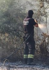 Tekirdağ'daki Anız Yangını Kontrol Altına Alındı