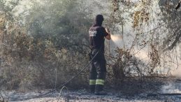 Tekirdağ'daki Anız Yangını Kontrol Altına Alındı