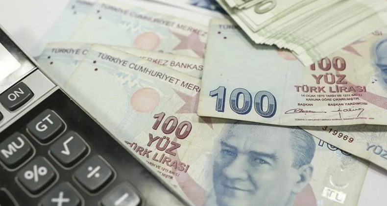Temmuz Ayı Sosyal ve Ekonomik Destek Ödemeleri Hesaplara Yatırıldı