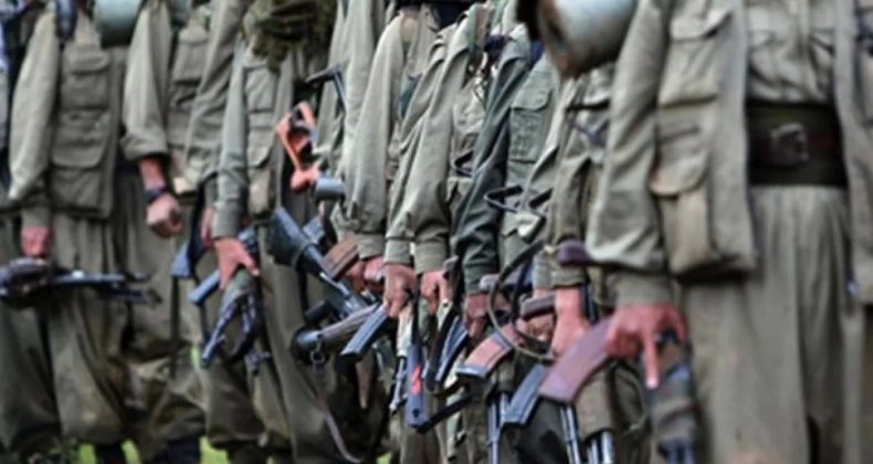 Terörsüz Türkiye'de Yeni Dönem: PKK Ne Zaman Silah Bırakacak? DEM Parti'den Açıklama