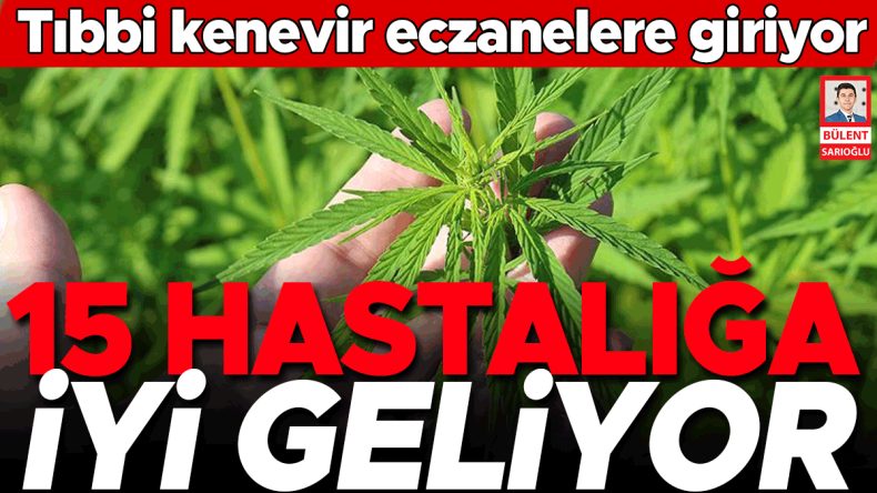 Tıbbi Kenevir Eczanelere Giriyor
