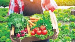 Ticaret Bakanlığı'ndan Kooperatif Atılımı