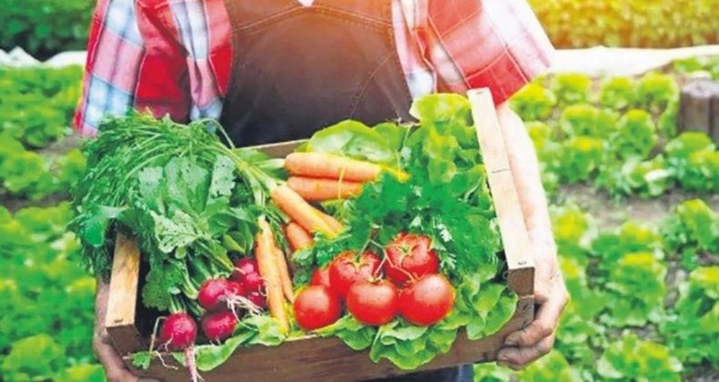 Ticaret Bakanlığı'ndan Kooperatif Atılımı