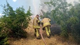 Tokat’ta Orman Yangını: Hızla Kontrol Altına Alındı