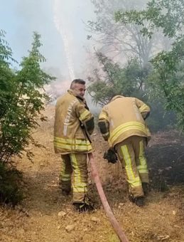 Tokat’ta Orman Yangını: Hızla Kontrol Altına Alındı