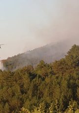 Tosya-&Ccedil;ankırı Sınırındaki Orman Yangını Kontrol Altına Alındı