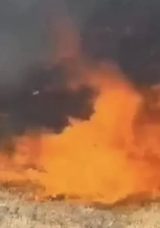 Tunceli'de Orluk Alanda Yangın Kontrol Altına Alındı