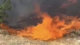 Tunceli'de Orluk Alanda Yangın Kontrol Altına Alındı