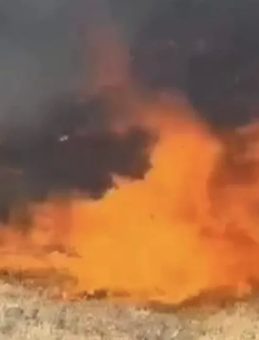 Tunceli'de Orluk Alanda Yangın Kontrol Altına Alındı