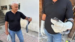 Tunceli'de Tuvalette Bulunan Yılan Doğaya Salındı