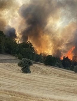 Uşak'ta Orman Yangınlarına İlişkin İki Gözaltı
