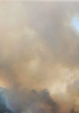 Uşak&rsquo;ta Orman Yangını: Hızla M&uuml;dahale Ediliyor!