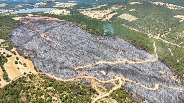 Uşak&rsquo;ta Yangın Sonrası Yeşil Alanlar K&uuml;ller İ&ccedil;inde Kaldı