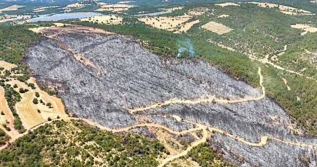 Uşak’ta Yangın Sonrası Yeşil Alanlar Küller İçinde Kaldı