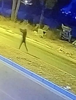 Van'da Baba ve Üç Kızına Kalaşnikoflu Saldırı: 1 Ölü, 3 Yaralı